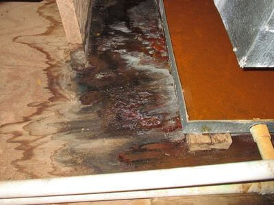 About water damage restoration service - commercial flood cleanup experts in Orange